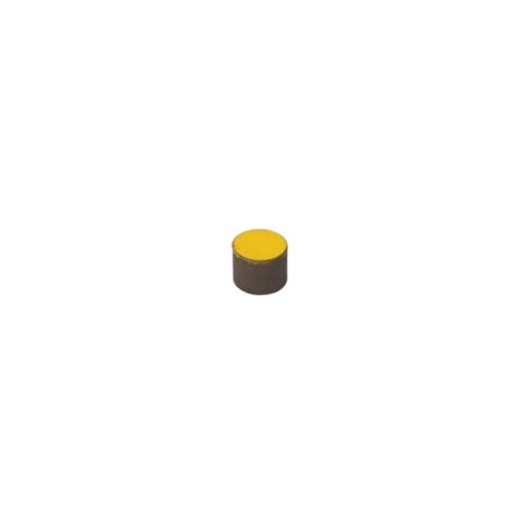 Magnet - 0.25 in Diameter - Racepak - Each
