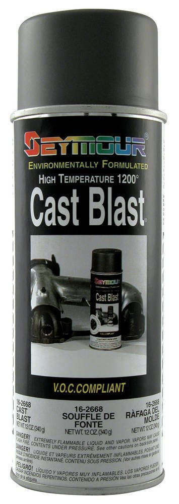 Paint - HOT SPOT - High Temperature - Silicone - Cast Iron - 12 oz Aerosol - Each