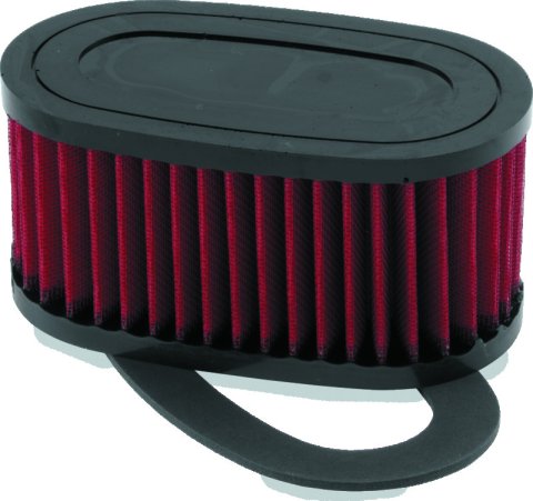 BikeMaster Honda VT750C/CD Shadow ACE/DLX Air Filter thumbnail 1