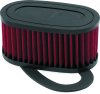 BikeMaster Honda VT750C/CD Shadow ACE/DLX Air Filter thumbnail 3