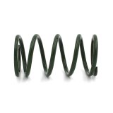 EPI 24+ Polaris RZR XP/4 / Xpedition XP/ADV Secondary Clutch Spring Green thumbnail 1