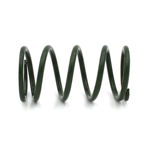 EPI 24+ Polaris RZR XP/4 / Xpedition XP/ADV Secondary Clutch Spring Green