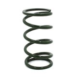 EPI 24+ Polaris RZR XP/4 / Xpedition XP/ADV Secondary Clutch Spring Green thumbnail 3