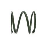 EPI 24+ Polaris RZR XP 1000/ Xpedition XP/ADV Primary Clutch Spring Dark Green thumbnail 3