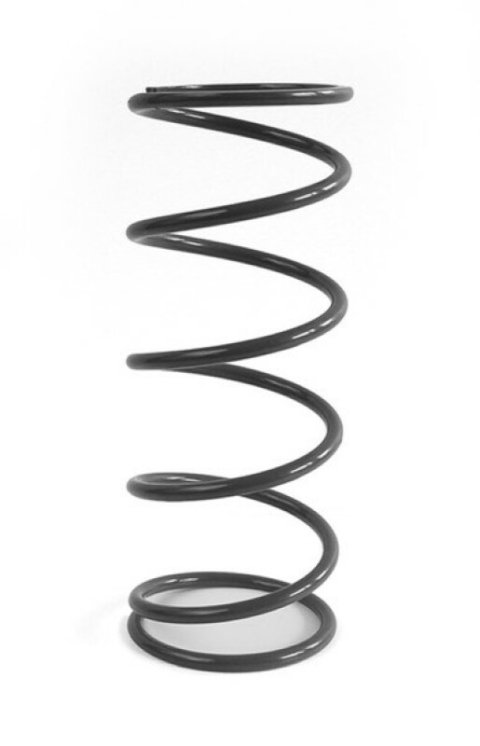 EPI 20+ Polaris RZR Pro XP/4/RZR Turbo R/4 Primary Spring Almond