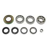 EPI 06-10 Can-Am 400-800 Outlander/800 Renegade Differential Bearing/Seal Kit thumbnail 5