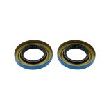 EPI 18-19 Can-Am Maverick X3/Turbo R Differential Bearing/Seal Kit thumbnail 1