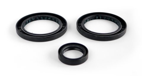 EPI 99-04 Polaris 300-650 Magnum/Sportsman Differential Seal Kit thumbnail 1