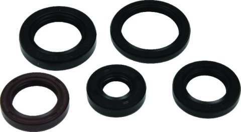 QuadBoss Oil Seal Set