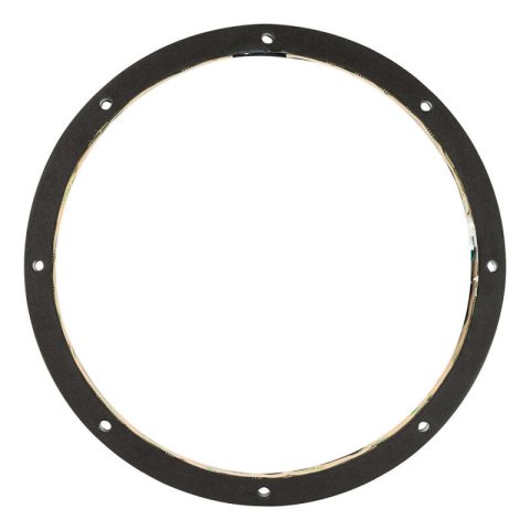 DS18 10in Speaker And Subwoofer Ring w/ RGB LED Lights thumbnail 3