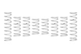 Eibach 22-25 Polaris RZR Turbo R Pro-UTV Stage 1 Performance Kit - Set of 8 Springs thumbnail 1