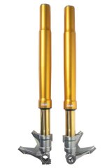 Ohlins 23-25 Harley-Davidson American V-Twin 48mm Gold Front Fork thumbnail 1