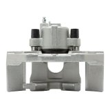 DFC 07-17 Ford Expedition Rear-R Premium Caliper - Silver Zinc Coated thumbnail 2
