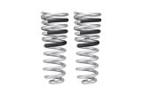 Eibach 4th Gen RAM 2500 Pro Lift Kit HD Rear Springs thumbnail 1