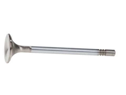 Manley Ford GT350 Voodoo 5.2L Race Master Series Intake Valve - 1.508in Dia thumbnail 5
