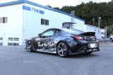HKS 2022+ Toyota GR86 / Subaru BRZ Fender Molding Kit thumbnail 5
