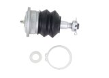 Whiteline 2022 Chevrolet Silverado 1500 Fixed Offset UCA Replacement Ball Joint Kit thumbnail 3