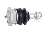 Whiteline 11-25 Ram 1500 Fixed Offset UCA Replacement Ball Joint Kit thumbnail 3