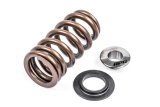 APR Audi/Bentley/Lamborghini/Porsche/Volkswagen Valve Spring Kit - Single thumbnail 1