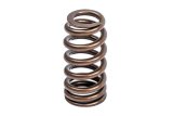 APR Audi/Bentley/Lamborghini/Porsche/Volkswagen Valve Spring Kit - Single thumbnail 3