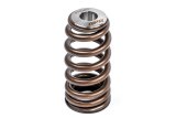 APR Audi/Bentley/Lamborghini/Porsche/Volkswagen Valve Spring Kit - Single thumbnail 5