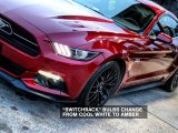 Raxiom 15-17 Ford Mustang Axial Series Switchback Turn Signal Conversion Kit thumbnail 5