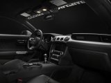 Raxiom 15-23 Ford Mustang Axial Series Stage 2 Map Light LED Conversion Kit thumbnail 7