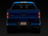 Raxiom 97-14 Ford F-150 Axial Series License Plate Lamp Housings thumbnail 2