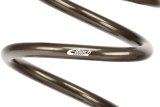 Eibach ERS 18in L x 3.50in OD Platinum Rear Spring - 850 lbs/in thumbnail 1