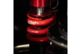 Eibach Bump Spring - 3.60in L x 1.50in ID - 2000 lbs/in thumbnail 2
